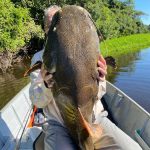 peixes_barco_hotel_kaiman_13